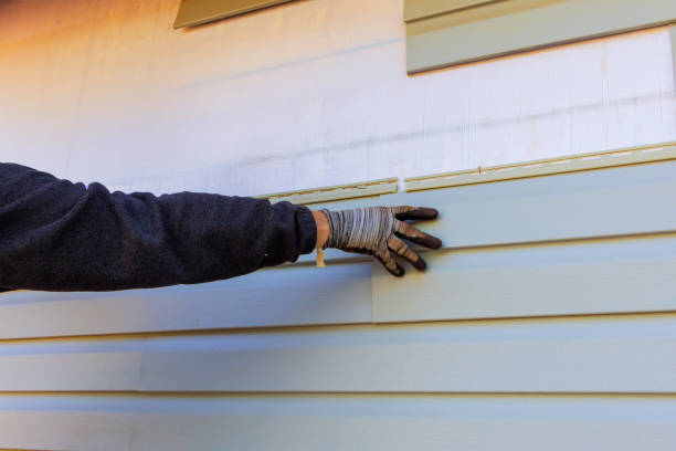 Best Historical Building Siding Restoration  in Jacksonvle, IL